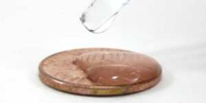 Surface tension activity with a penny / Family science activity