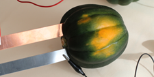 Last Year on the Science Buddies Blog / veggie power squash