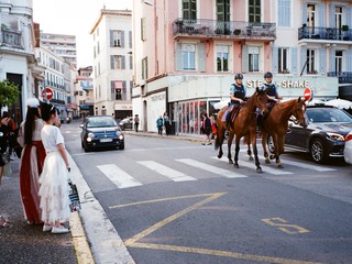 horses in city