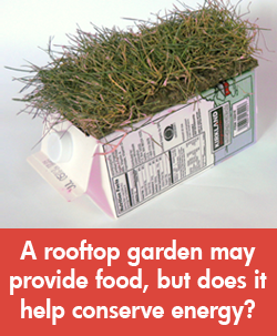 Environmental Engineering / rooftop gardens