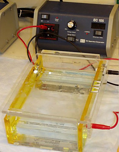 Two yellow electrode plates are placed on opposite sides of a box and connected to a power source