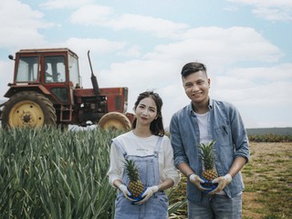 farmers with pineapples