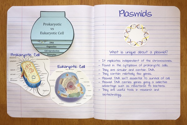 classroom workbook page