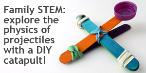 Simple Catapult Science / Weekly Family STEM Experiment with Energy and Physics