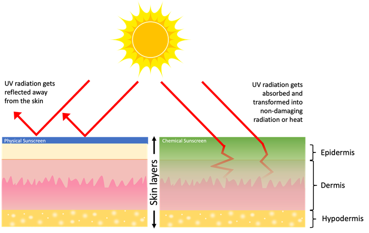 Fun in the sun: The UV Index scale and SPF explained