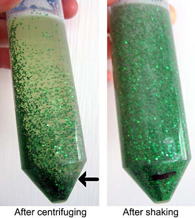 Photo of glitter separating from liquid in a tube after shaking and after being placed in a centrifuge