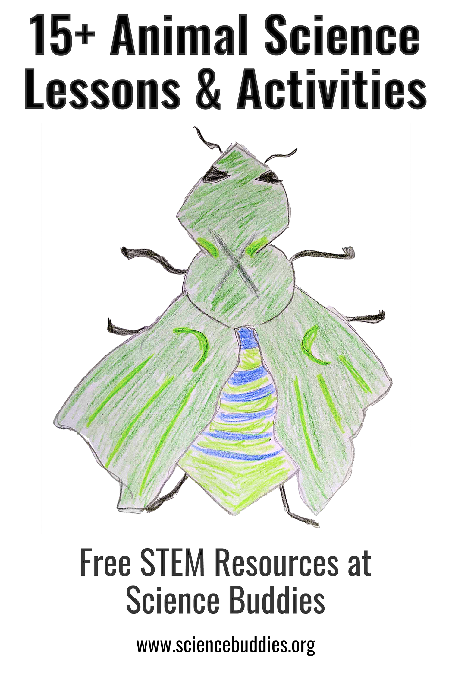 Hand-drawn and colored insect from invent an insect lesson on animal science
