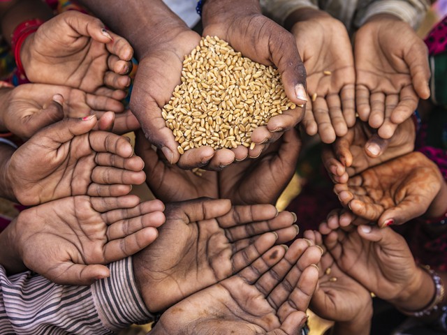 Grain in hands