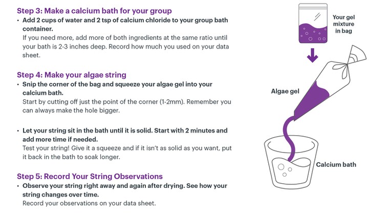Thumbnail of Steps 3-5 on Student Protocol sheet