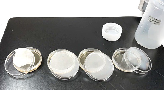  Four petri dishes half-filled with liquid LB agar. The lids are only put 3/4 of the way back on top of the petri dish 