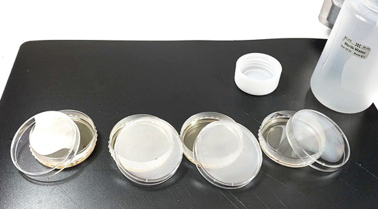  Four petri dishes half-filled with liquid LB agar. The lids are only put 3/4 of the way back on top of the petri dish 