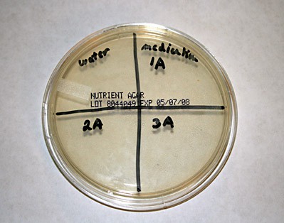 An agar plate is labeled and divided into quadrants of water, medication, 2A and 3A