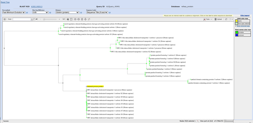 Screenshot of a distance tree with nodes expanded that show a relationship between different BLAST search results