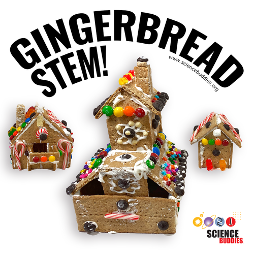 Gingerbread house examples for Gingerbread STEM at Science Buddies