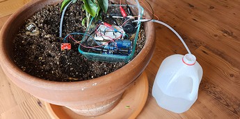 Arduino circuit and soil moisture sensor in a potted plant next to a jug of water