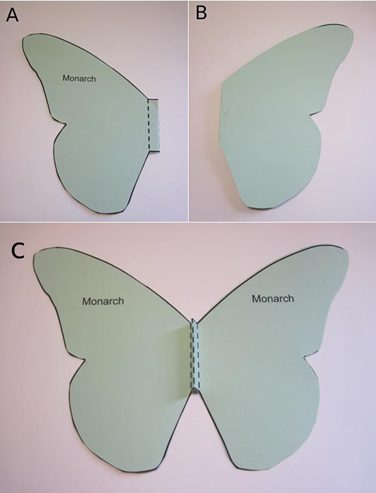 Three photos of a paper butterfly template folded along lines across the body