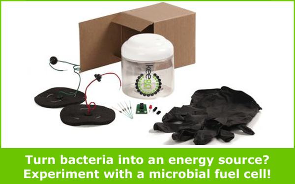 Microbial fuel cell alternative energy kit from Science Buddies Store