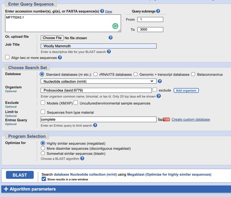 Screenshot of a nucleotide BLAST search box on the website ncbi.nlm.nih.gov