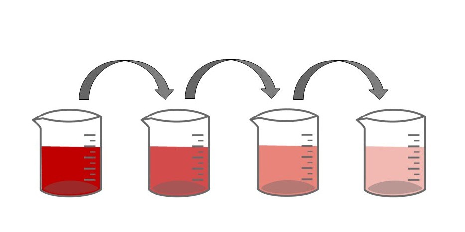  Five beakers in a row holding dilutions which range color starting with bright red and decreasing to pale pink.  