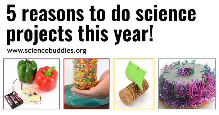 Images from candy waterfall, strength of electromagnet, toy sailboat, and vegetable ripeness circuit projects