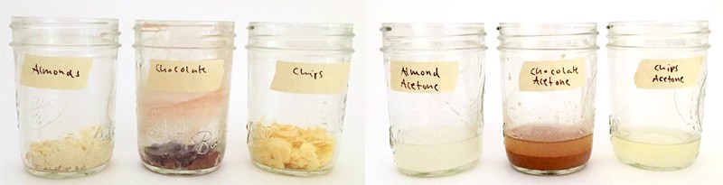 Six glass jars are filled with a mixture of various crushed foods and acetone
