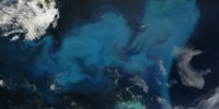 Early Adopters of NASA’s PACE Data to Study Air Quality, Ocean Health