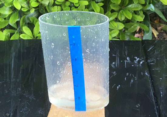 A plastic cup collects rain water