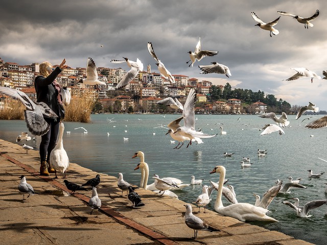 Woman feeding birds