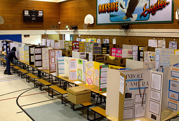 Science Fair Project Display Boards at Bayside STEM Academy annual science fair