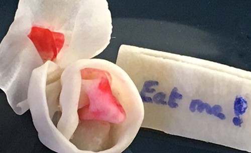 Two flowers and a name tag made from edible paper.