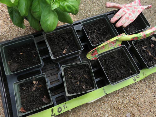 Eight plastic pots are filled with a mixture of worm manure and soil mixed at different ratios