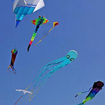 kite