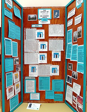 Best Tri Fold Poster Board Review - Trifold Display Presentation