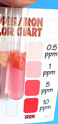 Pink solution in a test tube next to a color chart used to measure iron content