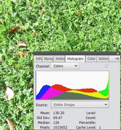 An image histogram for three color channels is overlaid on a photo of grass