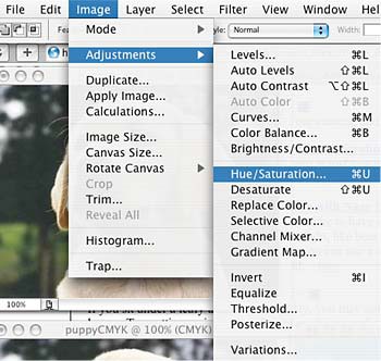 Adjusting hue and saturation in Adobe Photoshop