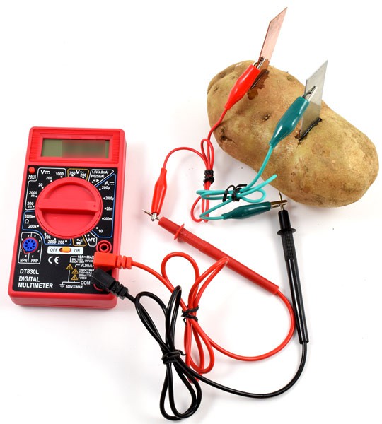 Two alligator clips connect the leads of a multimeter to a zinc and copper electrode in a potato