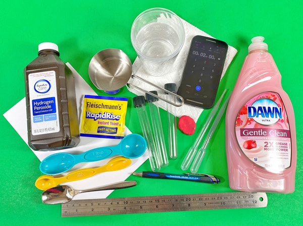 Materials needed for the lesson 'Enzymatic Activity of a Foaming Reaction.'