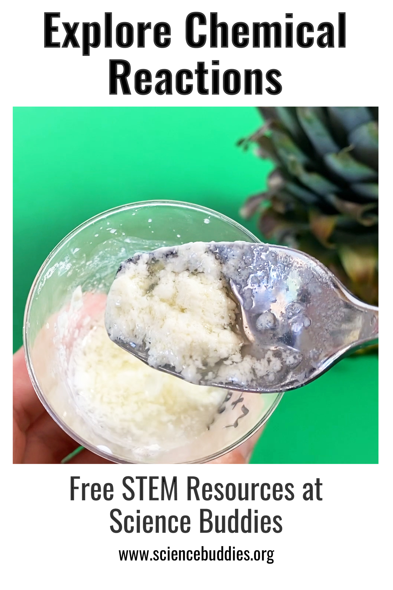 Teach Chemical Reactions Experiments - Pineapple enzyme example