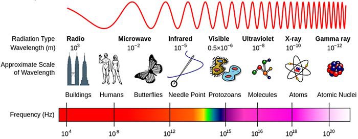 Graph of the electromagnetic spectrum shows wavelengths next to images of scaled objects