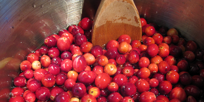 A Saucy Thanksgiving / Cranberry Sauce and Gravy Science Experiments