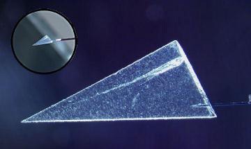 A comet particle embedded in a piece of aerogel