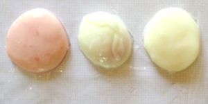 Yogurt ravioli science project