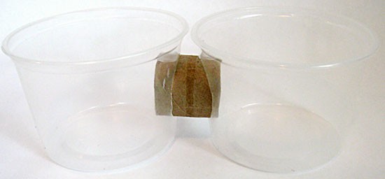 Circular holes are cut into the sides of two plastic cups and a cardboard tube is inserted between them
