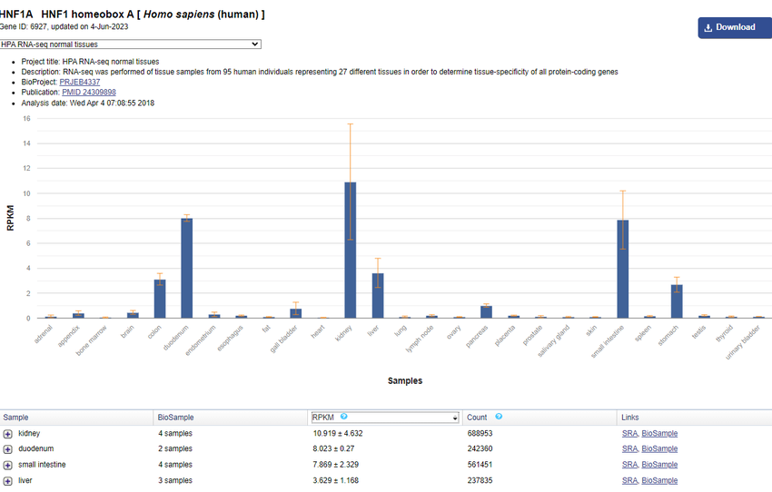 Gene expression for human HNF1A is highest in kidney, duodenum, small intestine, liver, and colon tissues according to data in the NIH Gene database.