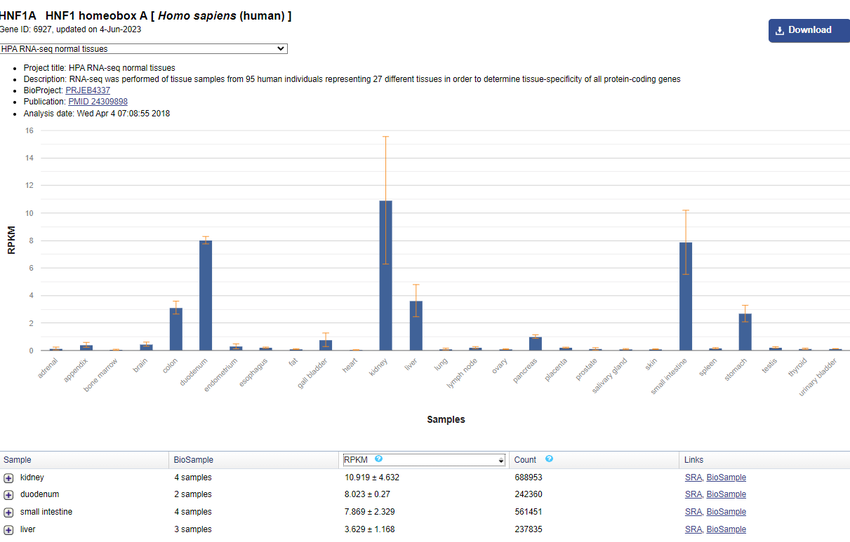 Gene expression for human HNF1A is highest in kidney, duodenum, small intestine, liver, and colon tissues according to data in the NIH Gene database. 