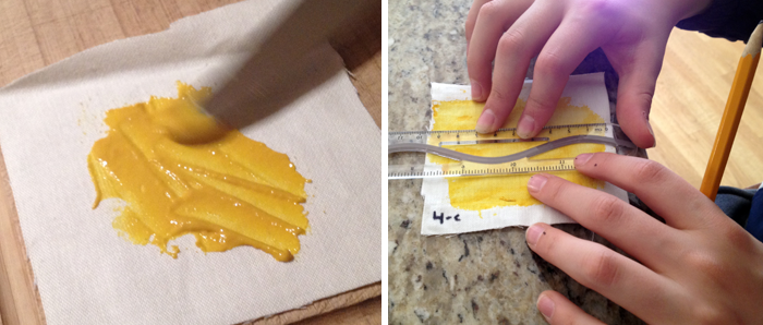 Science Success Story / Testing Laundy Detergent Enzymes with a Mustard Project images from procedure