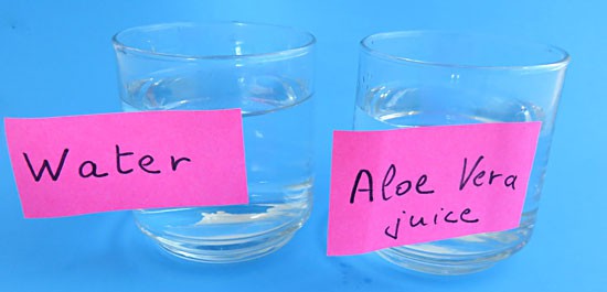 Two glass cups labeled water on the left and aloe vera juice on the right