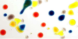 http://www.scientificamerican.com/article/dancing-droplets/