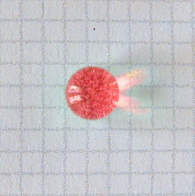 Photo of a translucent red sphere on a piece of graphing paper